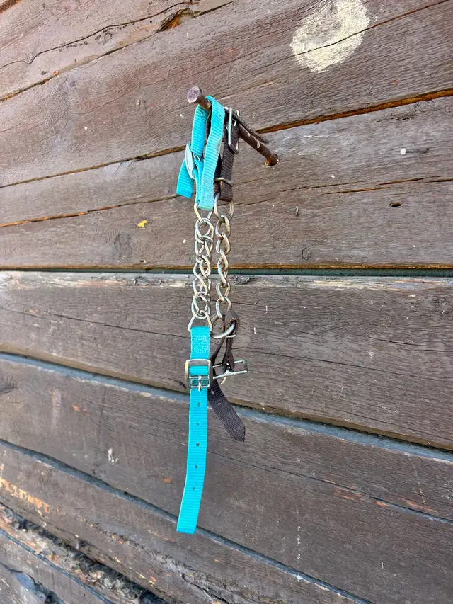 Tack Lot in Equestrian & Livestock Accessories in Dawson Creek - Image 8