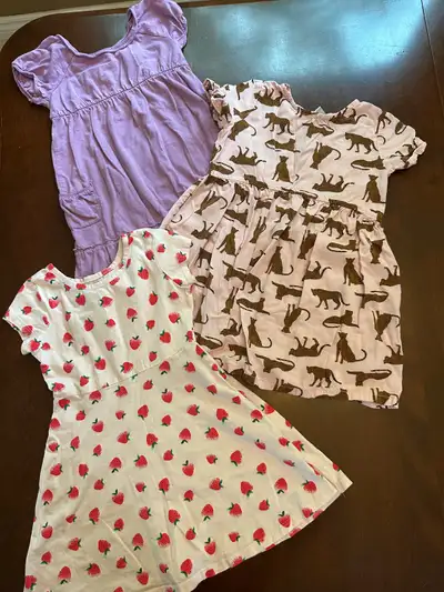 Size 4T Girl’s dresses - $10 for all - cheetah, Strawberry, View more