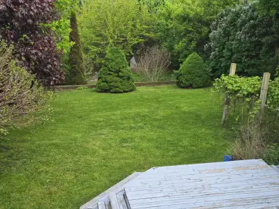 LAWN CARE, GRASS CUTTING, YARD CLEANUP & PROPERTY MAINTENANCE, View more