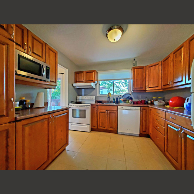 Charming 3 Bed, 2 Bath in Cole Harbour Long Term Rentals Dartmouth