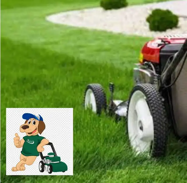 J Dawggs Lawncutting Services62863247161345122