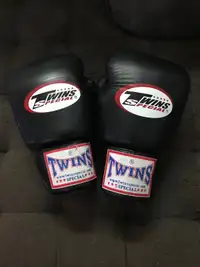 Black Twins Special Boxing Gloves 