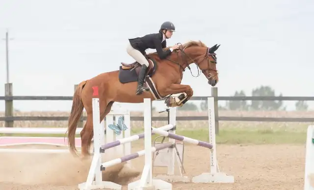  Level Up Your Riding at Cimarron Equestrian