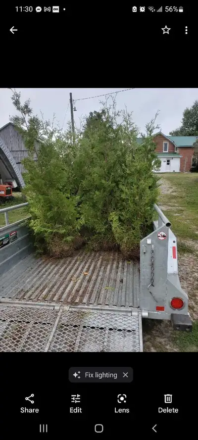 Cedar Hedge , View more