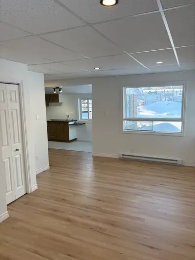 Chauffé/éclairé, Disponible immédiatement Grand loft complètement rénové, lumineux, niveau rez-de-ch...