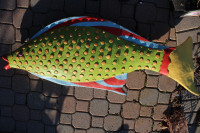 Fiberglass life size 1:2 Decoration Fish
