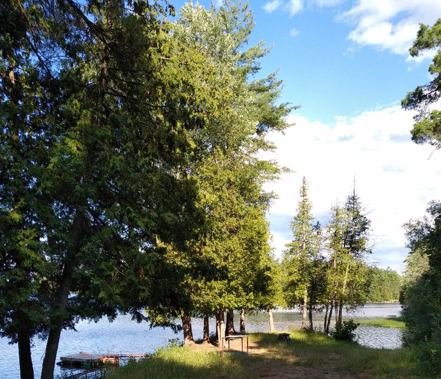 Lovely Private Cottage at Ottawa River Near Renfrew/Arnprior in Ontario