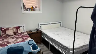Girl only Shared room Walkout Basement 4 bedrooms 2 full washrooms
