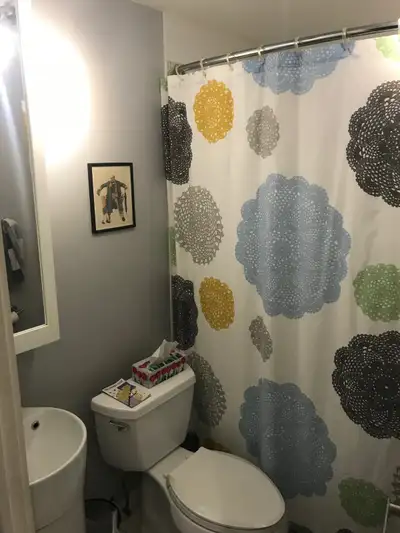 Glebe,  1 Bedroom available August 1st