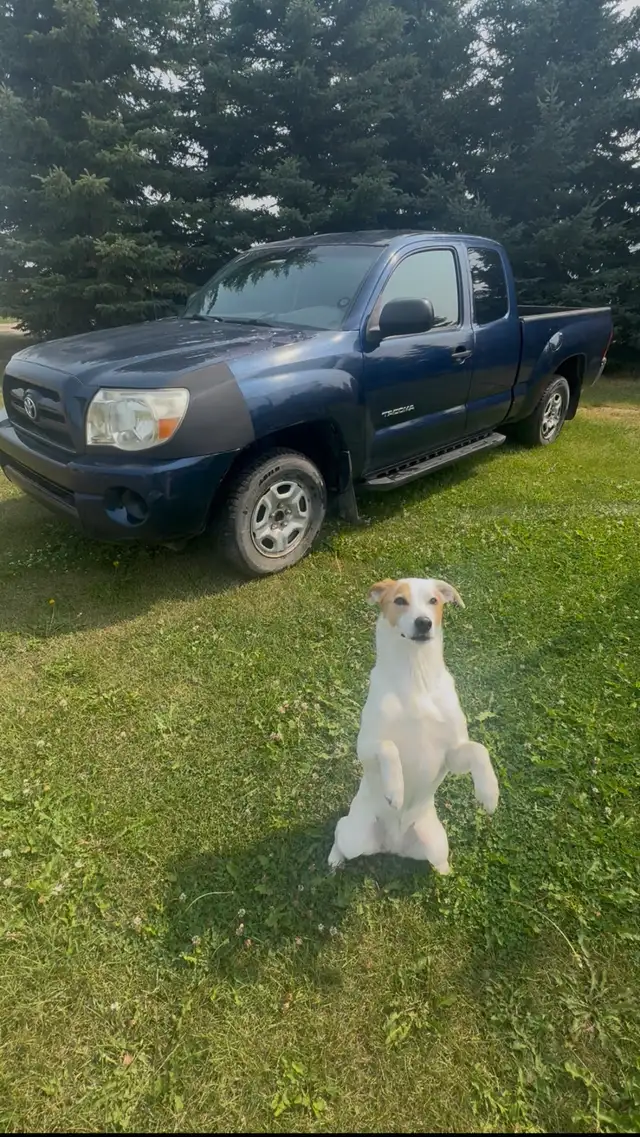 2006 taco 2wd 