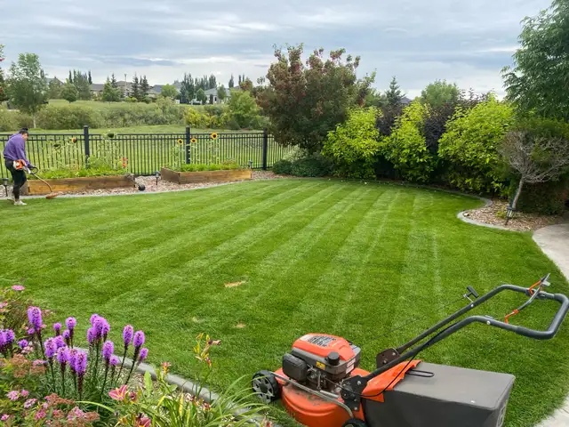 $20 Lawn Mowing & $60 Gutter Cleaning Services 63008304634497124