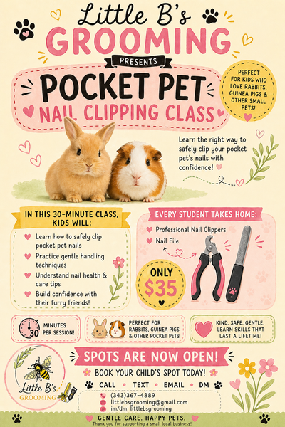 Little B's Grooming Pocket Pets Nail Trim Classes, View more