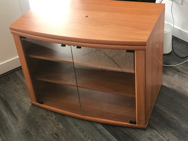Cabinet/TV Stand in TV Tables & Entertainment Units in Tricities/Pitt/Maple