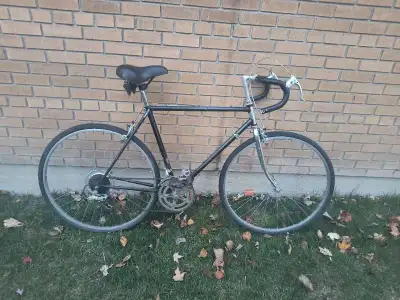 Raleigh Bike, View more