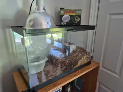 I'm selling my beautiful, approximately 2-year-old normal ball python, complete with its enclosure a...