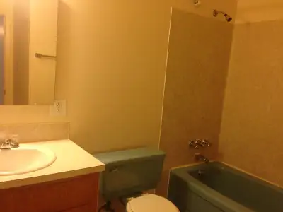 1 Bedroom available Now