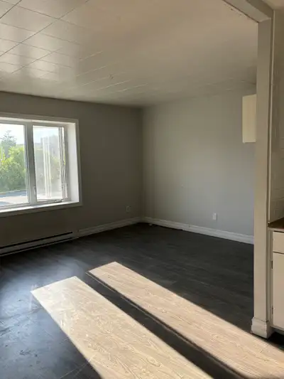 Beau 41/2 à louer Prêt de l'hôpital, école centre ville d'Amos -inclus seulement Deneigement et 2 st...