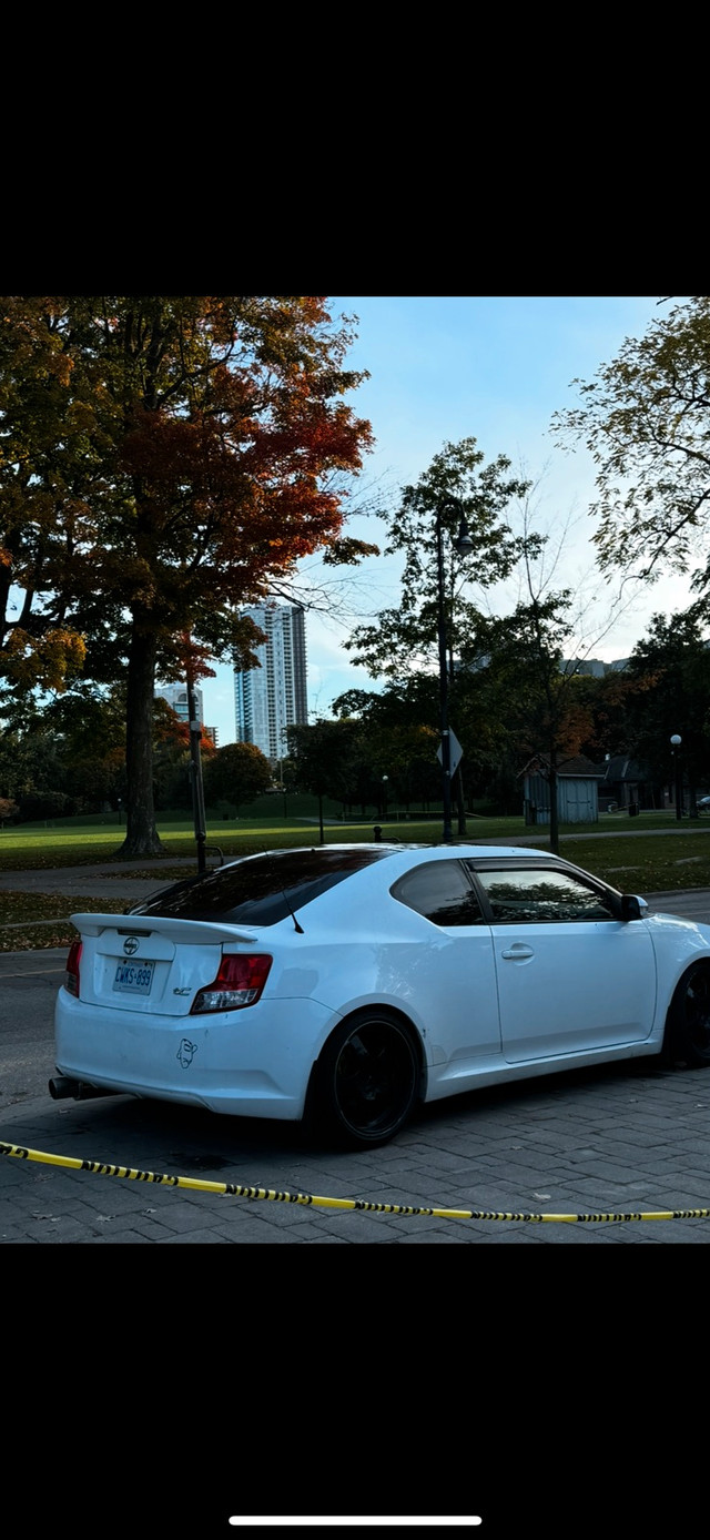 2011 scion tc in Cars & Trucks in Kitchener / Waterloo