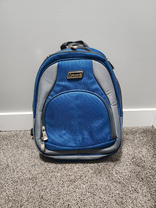 laptop bag pack in Laptop Accessories in Regina