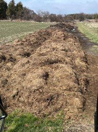 Composted sheep manure