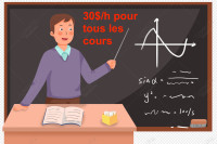 Tuteur de maths/sciences/histoire/français/anglais