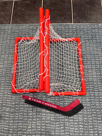 Mini hockey net with sticks