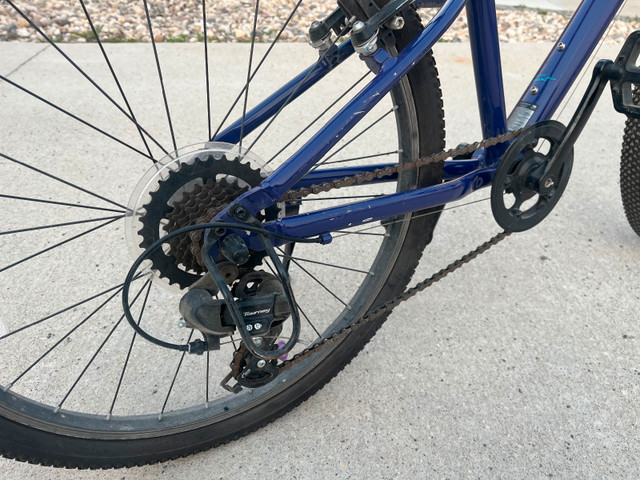 Giant bike 24 inches in Kids in Winnipeg - Image 2