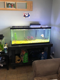 Wanted unwanted fish tanks and accessories 