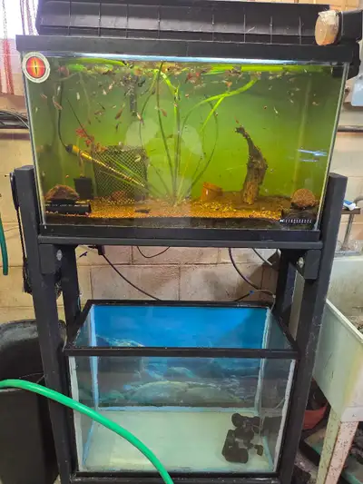 2 aquarium fish tanks on wood stand. 30 gallon great shape no leaks.just needs clean. Comes with cov...
