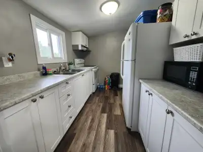 Renovated and Quiet 1 Bedroom Unit in Sudbury North End.