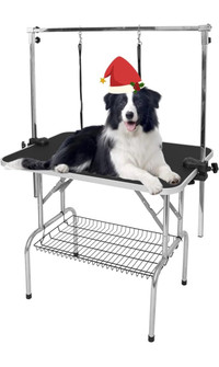 Table de toilettage pour chien 