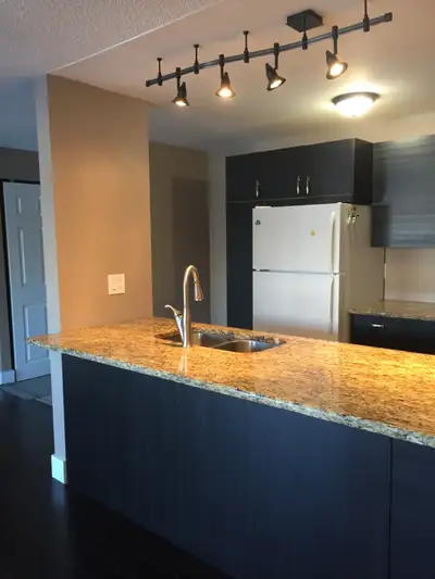 Terrific 2 bedroom Condo in Waterloo!