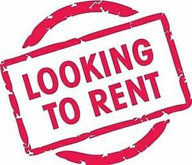 Looking to rent  in Long Term Rentals in Corner Brook