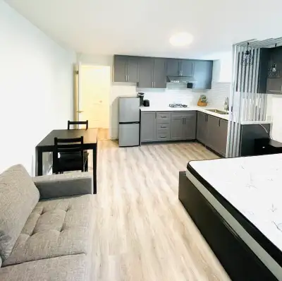Studio apartment in the house