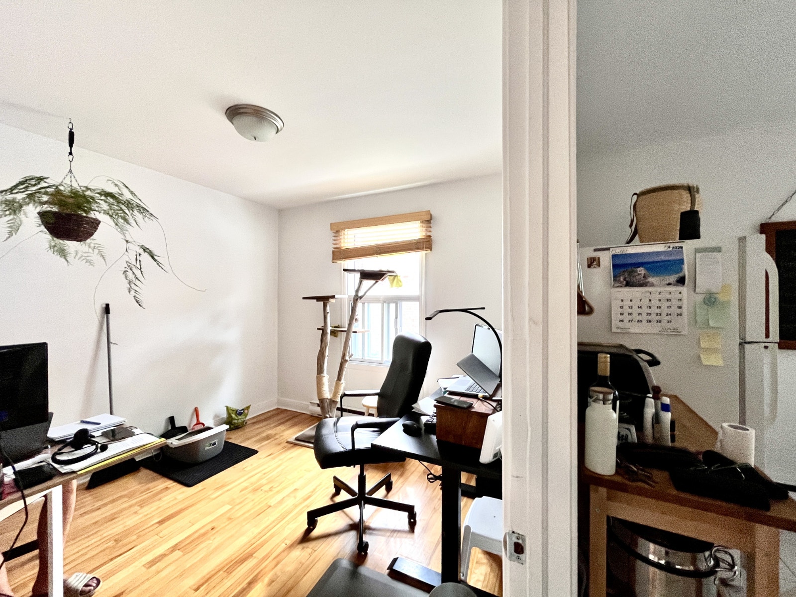 Grand 4 1/2   rue Villeray beau locataires de choix libre Nov 26 — photo 3
