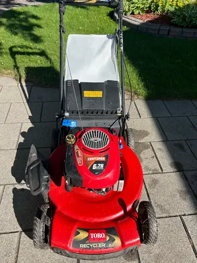 As good as it gets comes with bag and side discharge, the oil has been changed and blade sharpened e...