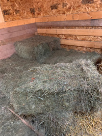 Square hay 