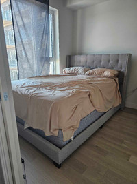 Bed Frame (Mattress is Optional)
