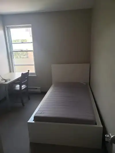 Chambre à louer