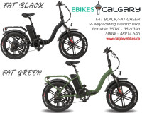 500w 48v NEW FATGREEN Folding Electric Bike