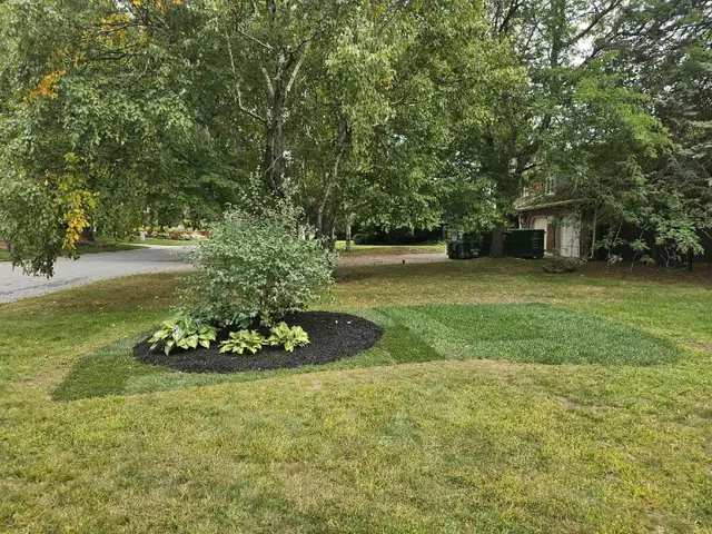 JS LANDSCAPING- FREE ESTIMATES!63760493487363121