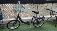 Schwinn Loop Adult Folding Bicycle, 20-Inch Wheels, 7-Speed