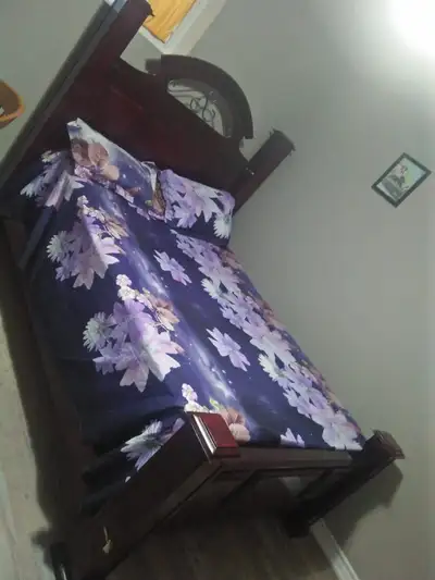 furnished room Brampton 400/month females only basement