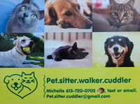 Pet sitter