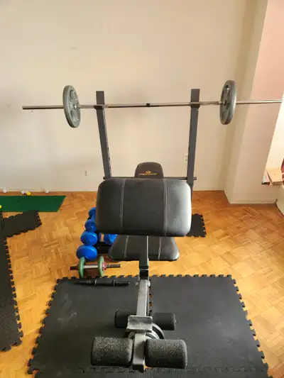 Bench press . Dumbbell set . 2×25LB . 4×2.5LB . 2×5LB weight. photos All sale.