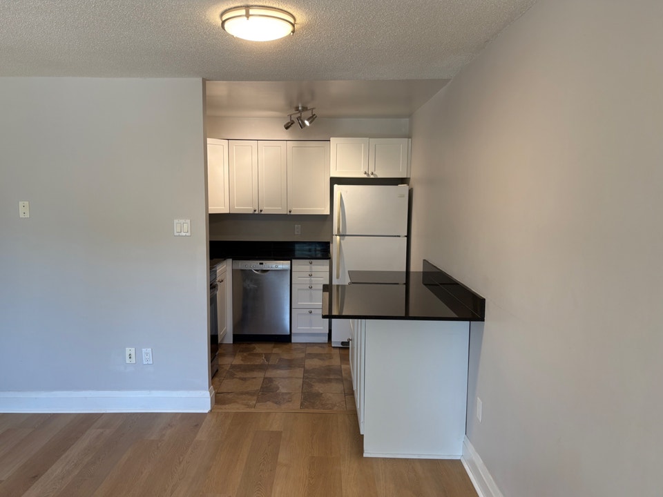 Newly Renovated 1 Bed, 1 Bath Condo for Lease 5
