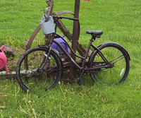 Bicycle for Sale