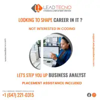 Domain/Application-Based Business Analyst Training & Placements