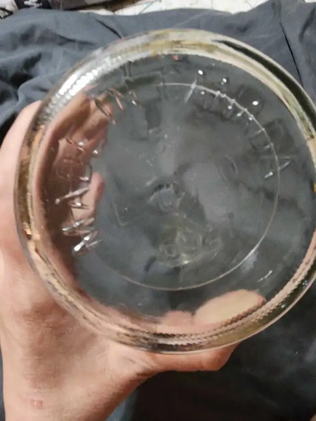 Glass Carafe in Kitchen & Dining Wares in Edmonton - Image 5