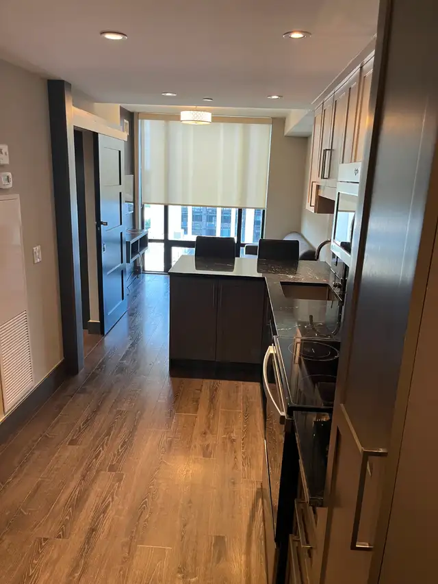 Apartment for Rent! in Long Term Rentals in Kitchener / Waterloo - Image 8